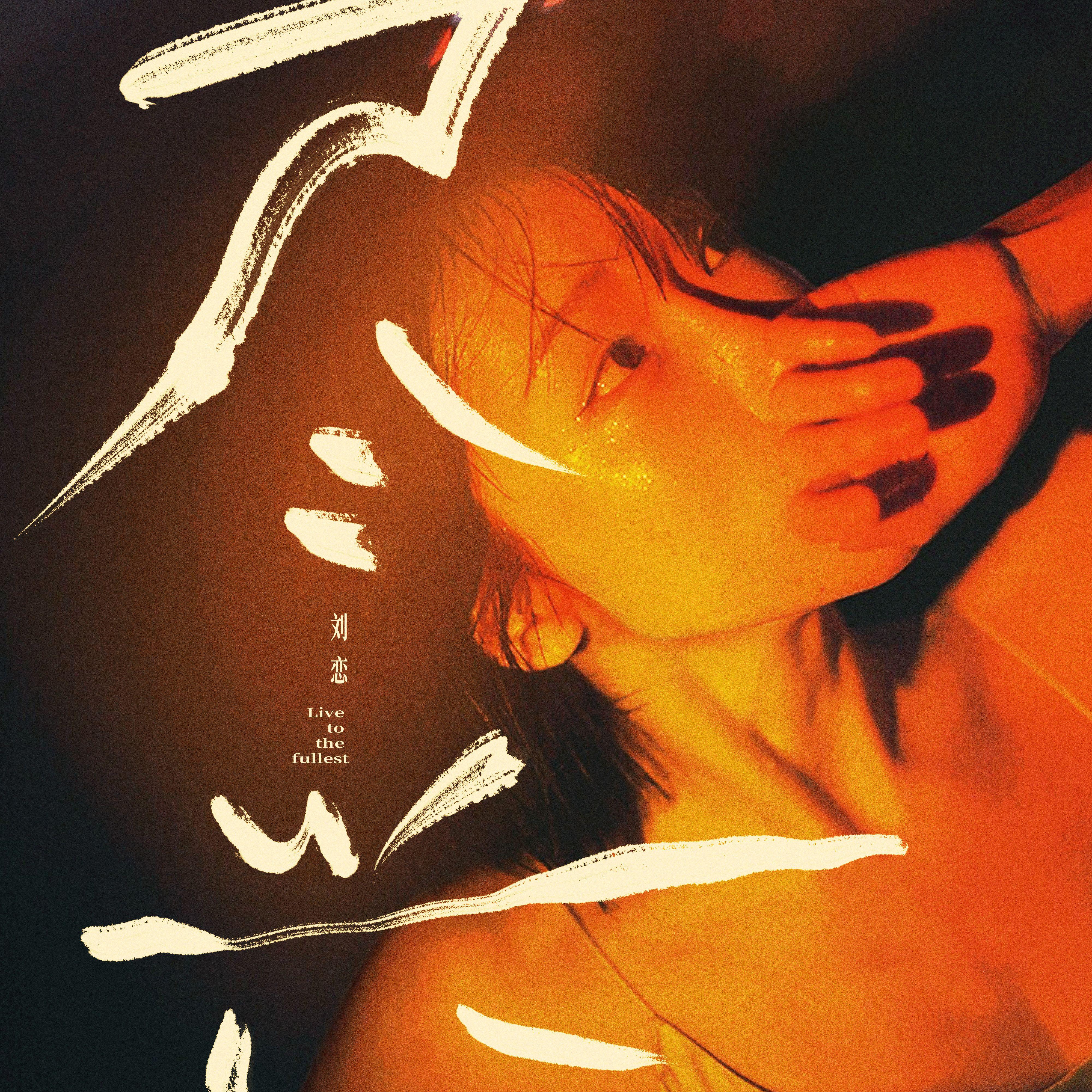 尽兴专辑封面
